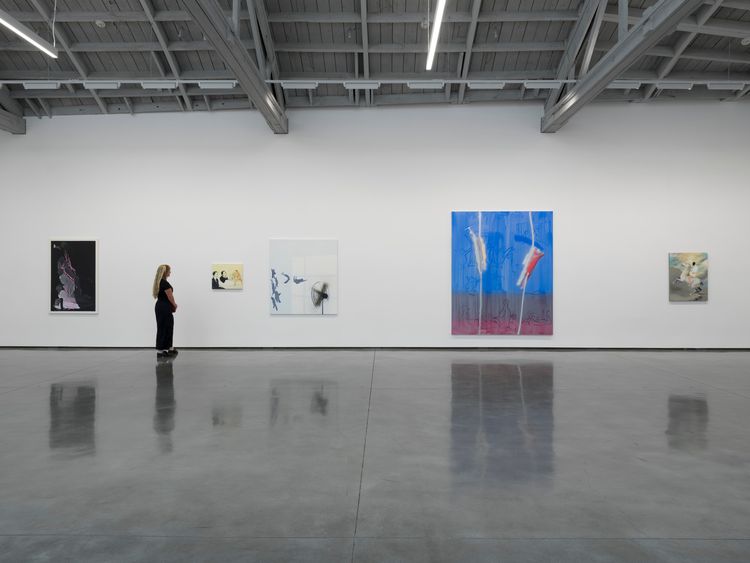 Installation view, Control X, David Kordansky Gallery · 2026 (9)