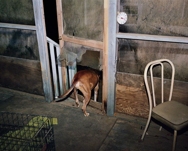 Installation view, River's Dream, 2010-2020, Higher Pictures
