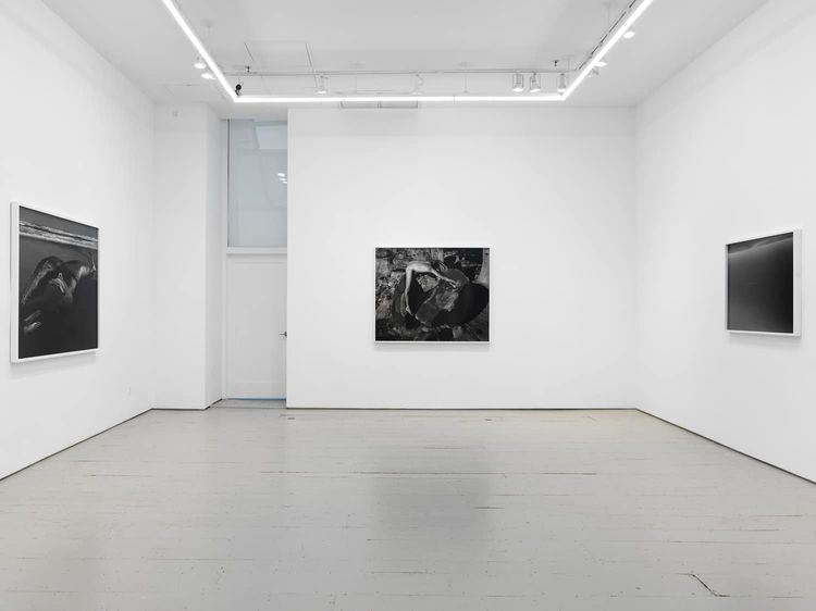 Installation view, Cut the World, Klaus von Nichtssagend Gallery · 2026 (2)