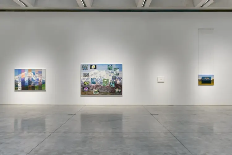 Installation view, Denali , Olney Gleason · 2026 (7)