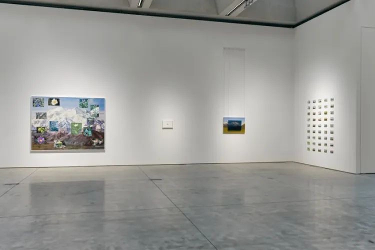 Installation view, Denali , Olney Gleason · 2026 (8)