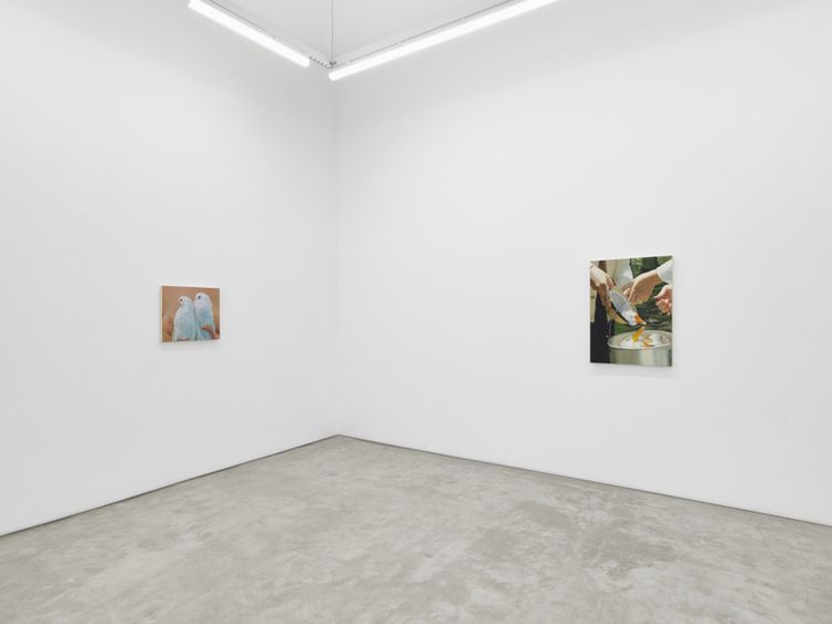 Installation view, Bucket of Birds, Night Gallery · 2026 (1)