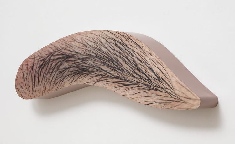 John Baldessari, Eyebrow, 2009, Three-dimensional digital photographic print, laminated with lexan, mounted on aluminum with acrylic paint, 41.3 × 127 × 15.2 cm | 16 1/4 × 50 × 6 inches, Edition of 25 + 4 AP