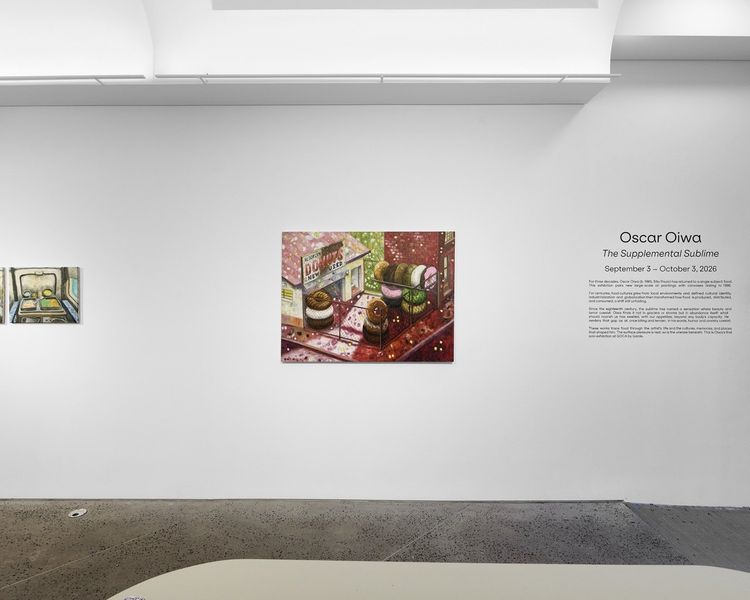 Installation view, Oscar Oiwa: The Supplemental Sublime, GOCA, New York, 2026