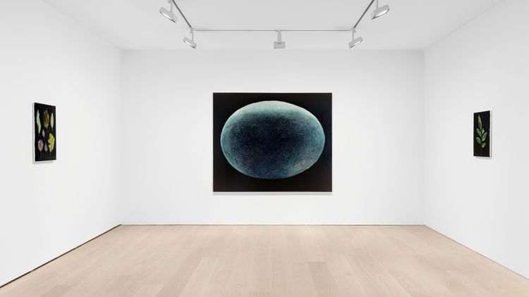 Installation view, Suchness, David Zwirner