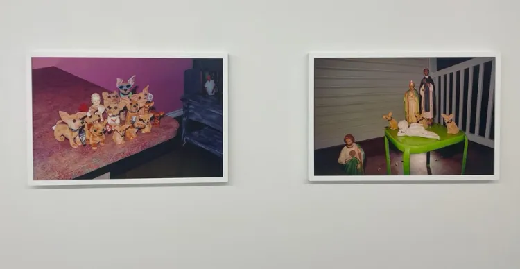 Installation view, Abre Camino, OSMOS