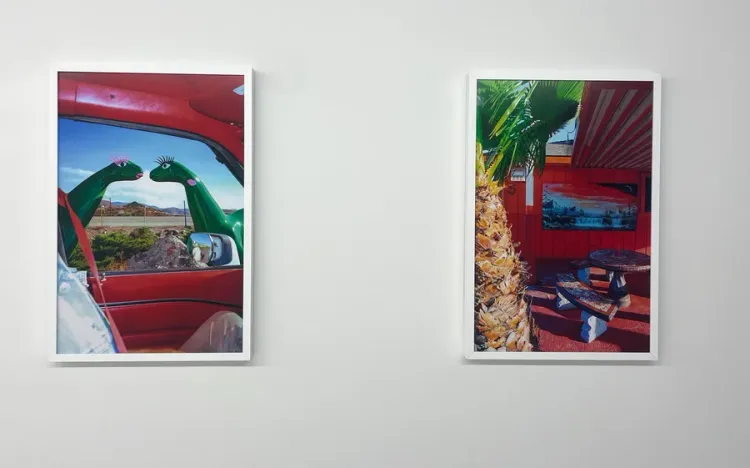 Installation view, Abre Camino, OSMOS · 2026 (2)