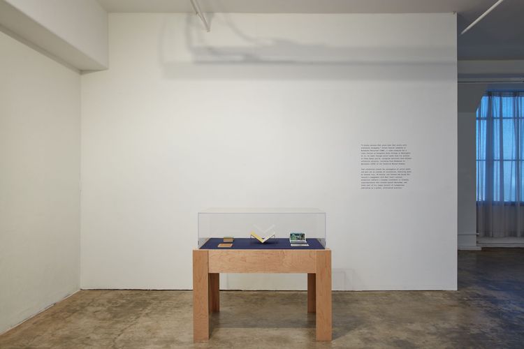 Installation view, a bookwork in many places, Joan · 2026 (1)