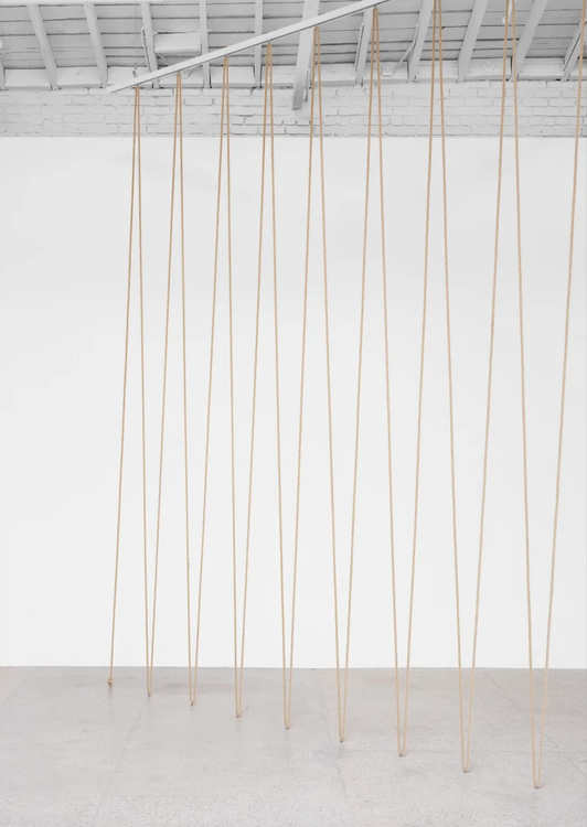 Installation view, discrepancies with W.W. (extended), Marian Goodman · 2025 (14)
