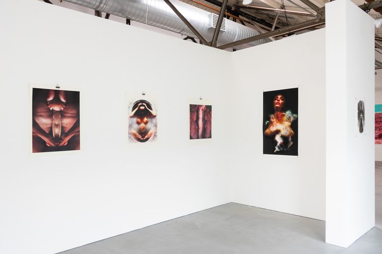 Installation view, Dreamscape of the Erotized Body, Anglim/Trimble Gallery · 2025 (1)