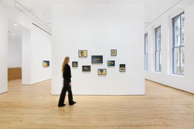 Installation view, Silent Siren, James Cohan, 52 Walker Street · 2026 (4)