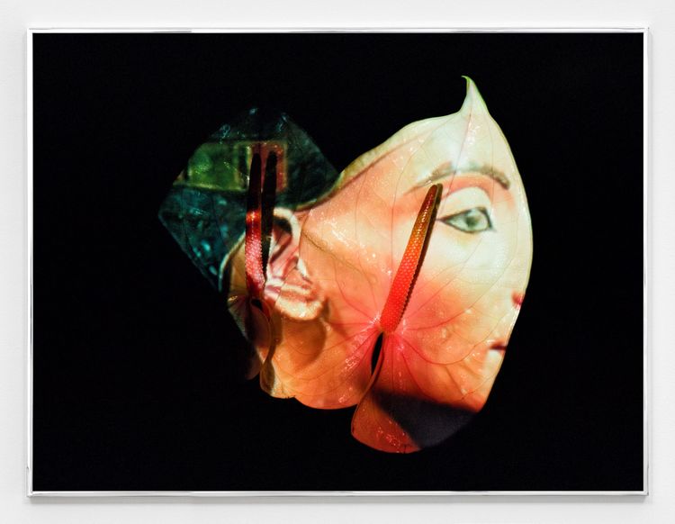 Installation view, Moon, Turn the Flames...Gently Gently Away, Sean Kelly · 2025 (22)