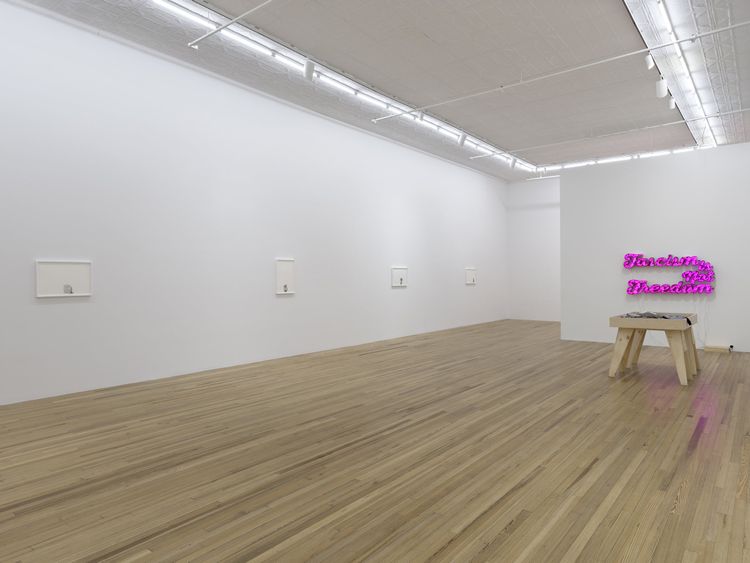 Installation view, Andrea Bowers: Democracy Needs Our Courage, Andrew Kreps Gallery, New York, 2026. Photo: Elisabeth Bernstein