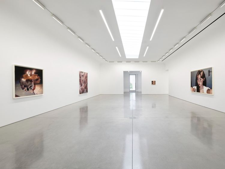 Installation view, Persona Works, David Kordansky Gallery · 2026 (2)
