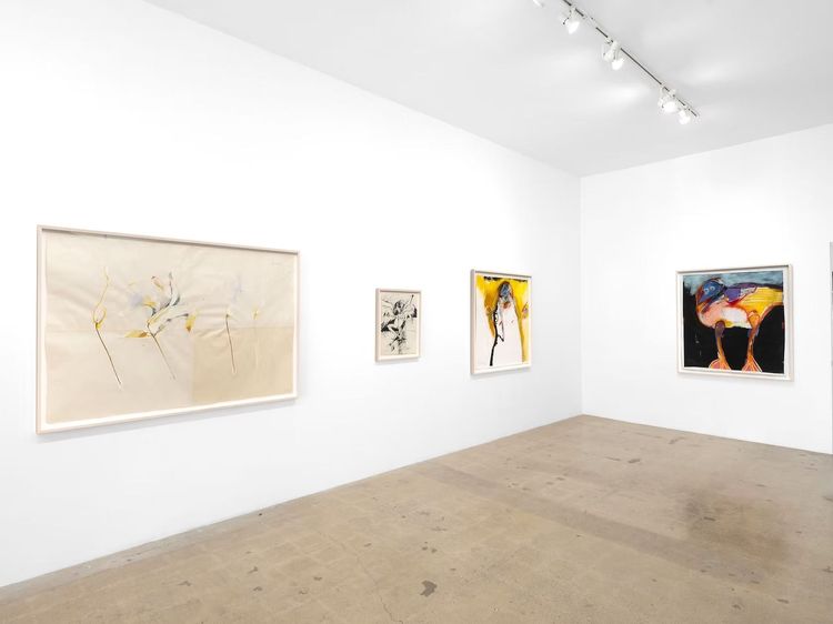 Installation view, Renewal and Regrowth, Timothy Hawkinson Gallery · 2025 (2)