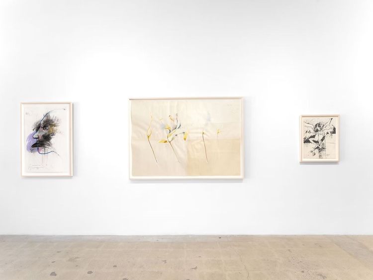 Installation view, Renewal and Regrowth, Timothy Hawkinson Gallery · 2025 (3)