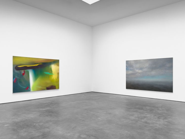 Installation view, Landschaften, David Zwirner, 537 West 20th Street · 2026 (11)