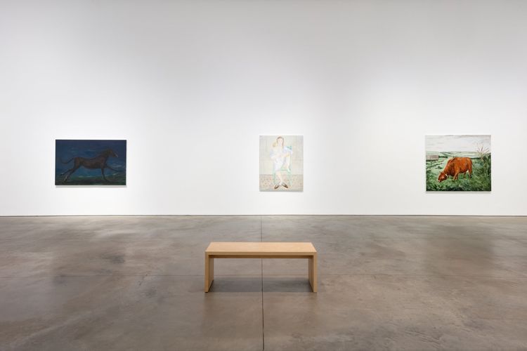 Installation view: Tanya Merrill, Land animal, house animal, 303 Gallery, New York, 2026. Photo: Morgan Waltz