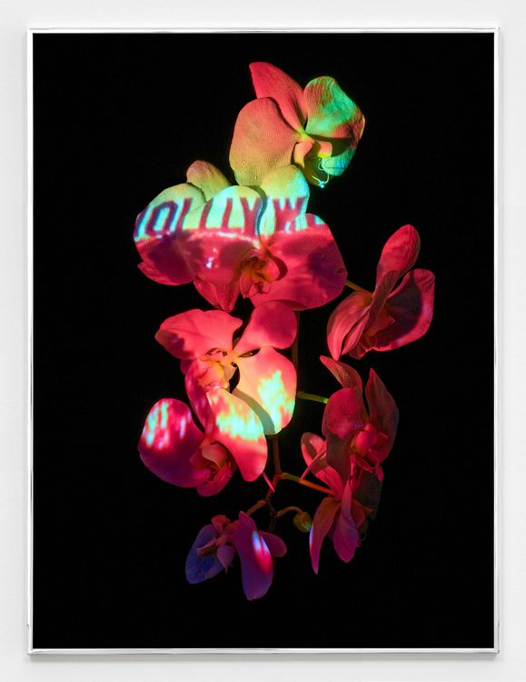 Installation view, Moon, Turn the Flames...Gently Gently Away, Sean Kelly · 2025 (16)