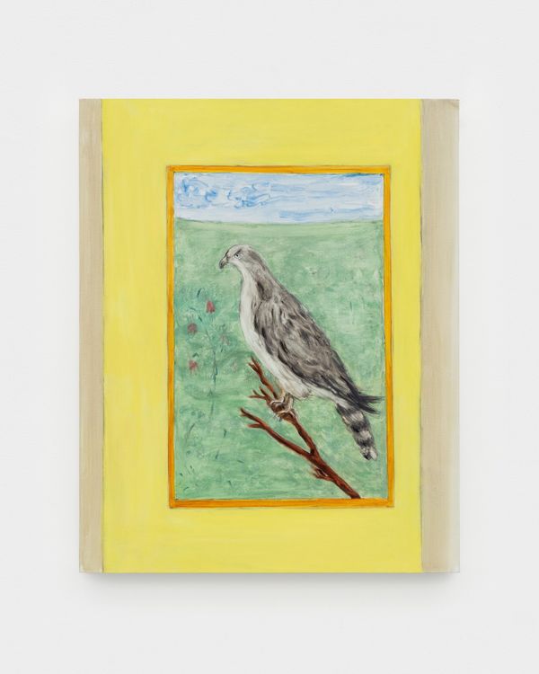 Tanya Merrill, Marsh hawk, 2026, Oil and graphite on linen, 30 x 24 inches (76.2 x 61 cm)