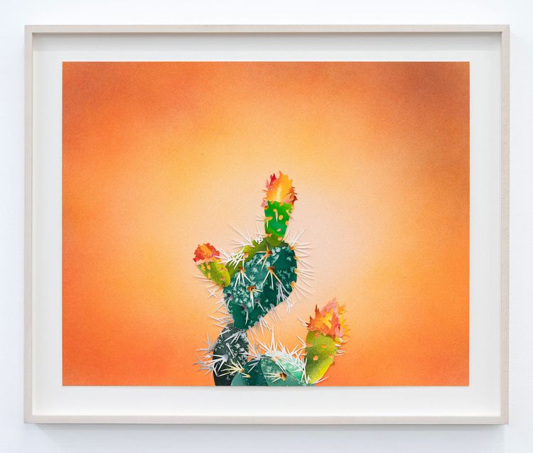 Installation view, Nom de guerre, Wilding Cran Gallery
