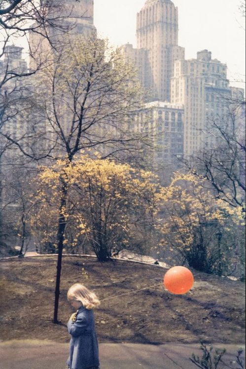 Installation view, Unseen Color, 1956 - 2008, Bruce Silverstein · 2026 (18)