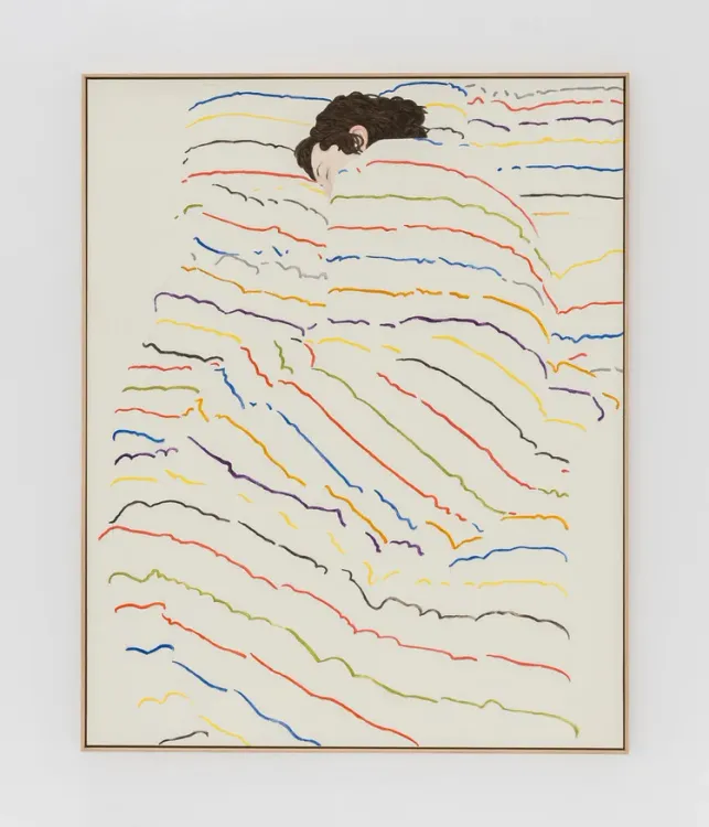 Installation view, Pillow Paintings, François Ghebaly