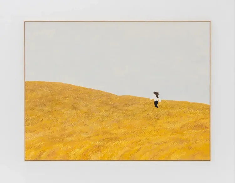 Installation view, Pillow Paintings, François Ghebaly · 2026 (19)