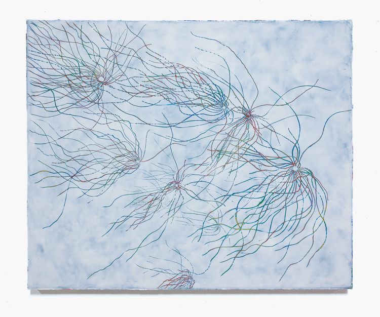 Installation view, Nom de Guerre, Wilding Cran Gallery