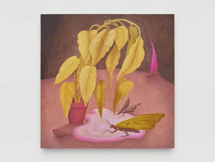 Installation view, Opposite of Hollow, Megan Mulrooney