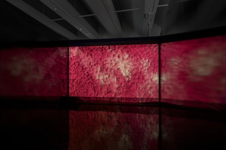 Installation view, Golden State, LACMA · 2025 (3)