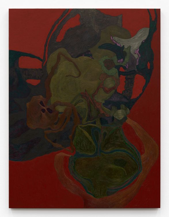Installation view, Hothouse, Karma Gallery · 2026 (13)