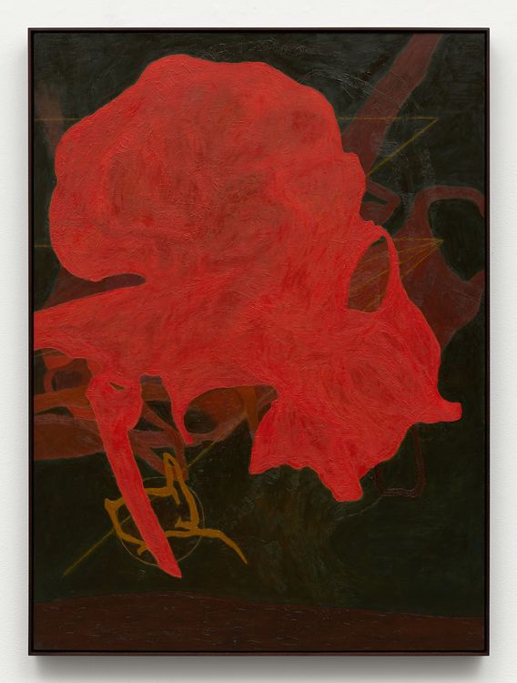 Installation view, Hothouse, Karma Gallery · 2026 (12)