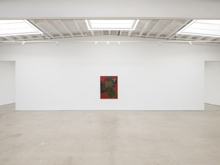 Installation view, Hothouse, Karma Gallery · 2026 (1)