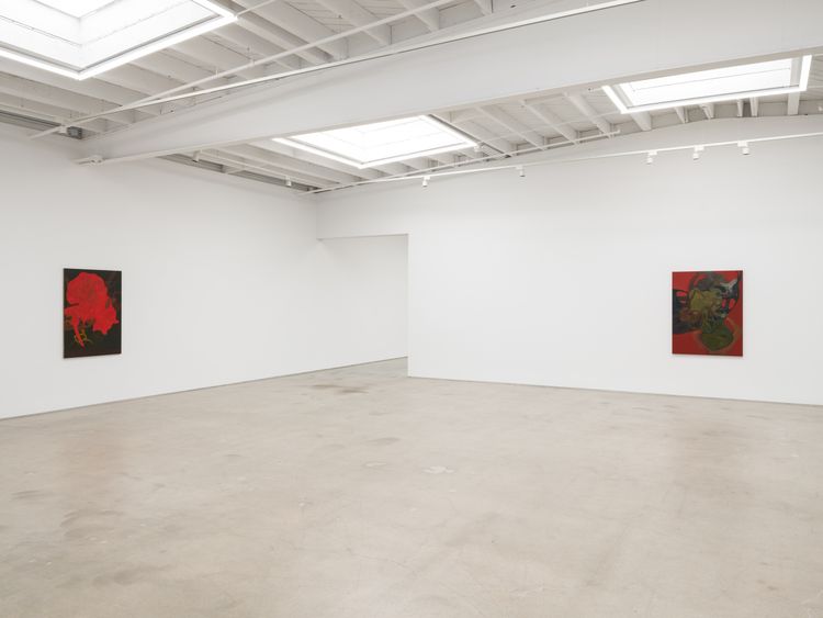 Installation view, Hothouse, Karma Gallery · 2026 (2)