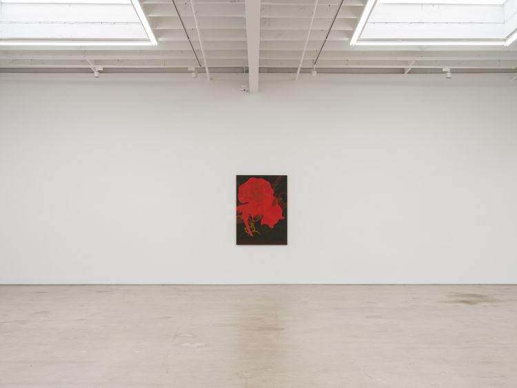 Installation view, Hothouse, Karma Gallery · 2026 (3)