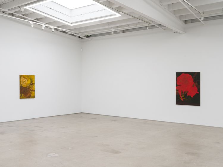 Installation view, Hothouse, Karma Gallery · 2026 (4)