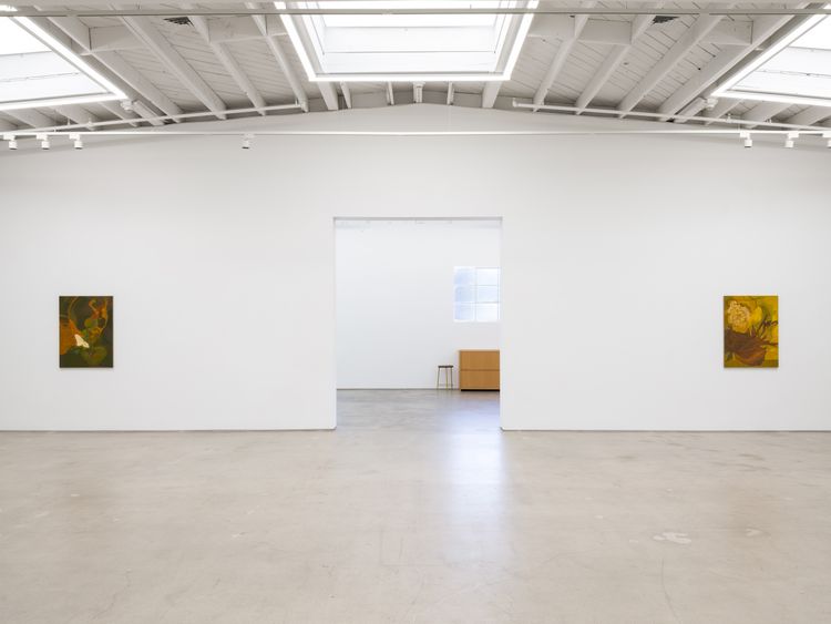 Installation view, Hothouse, Karma Gallery · 2026 (5)