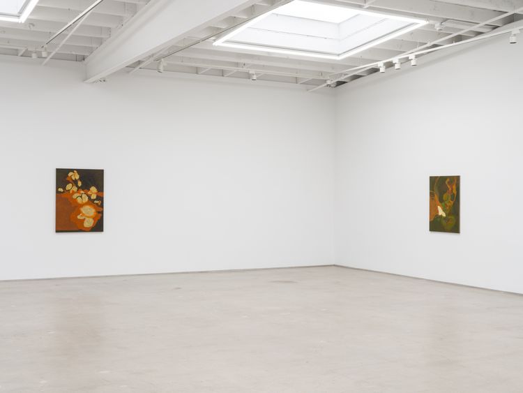 Installation view, Hothouse, Karma Gallery · 2026 (6)