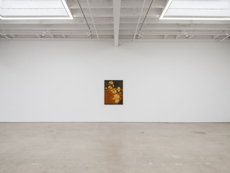 Installation view, Hothouse, Karma Gallery · 2026 (7)