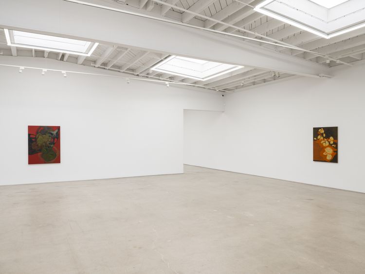 Installation view, Hothouse, Karma Gallery · 2026 (8)