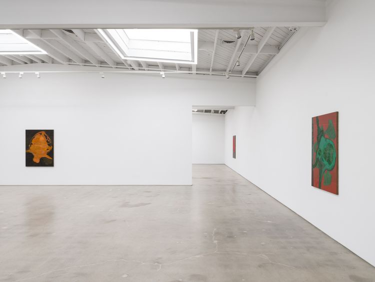 Installation view, Hothouse, Karma Gallery · 2026 (9)