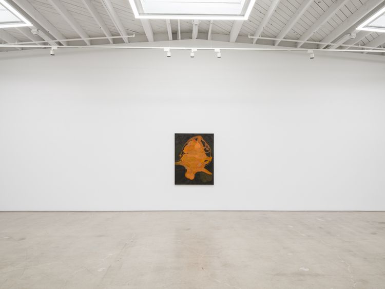 Installation view, Hothouse, Karma Gallery · 2026 (10)