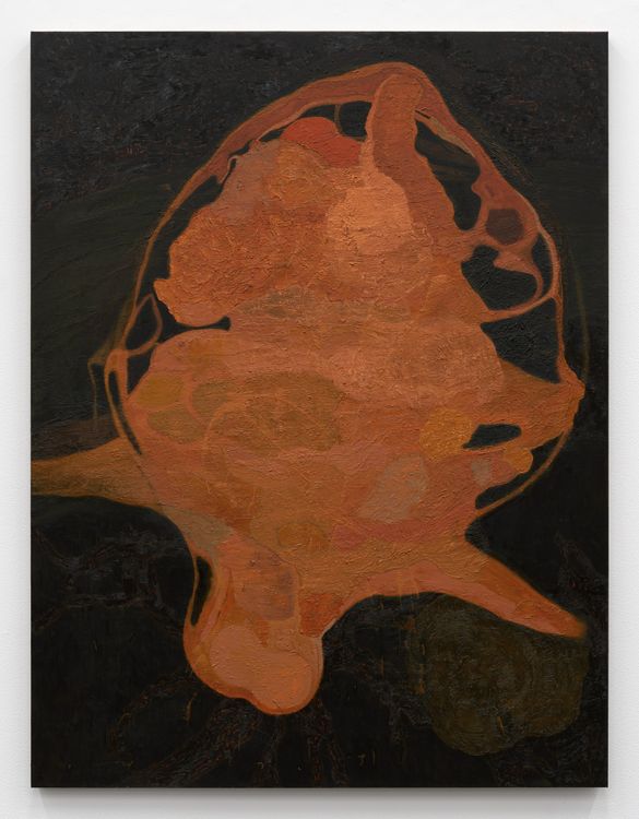 Installation view, Hothouse, Karma Gallery · 2026 (20)