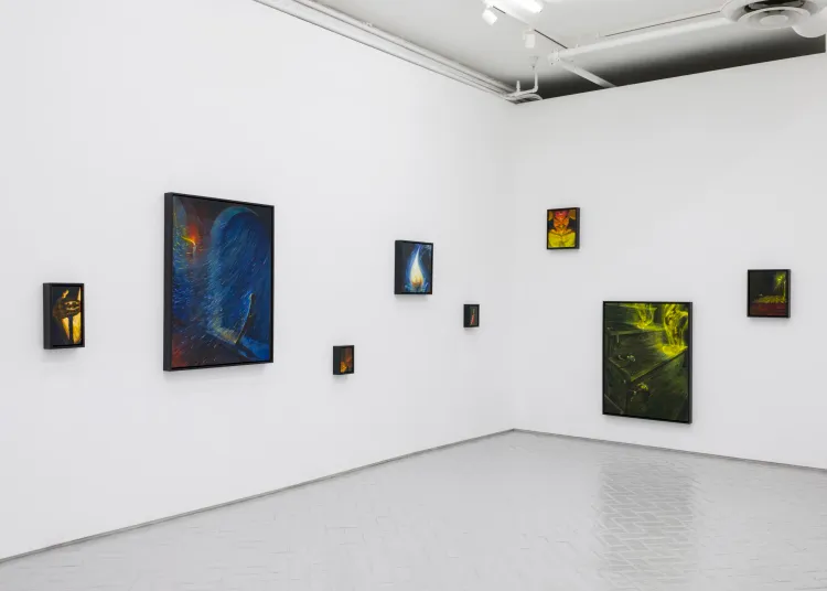 Installation view, House Guest, Nazarian / Curcio · 2026 (5)