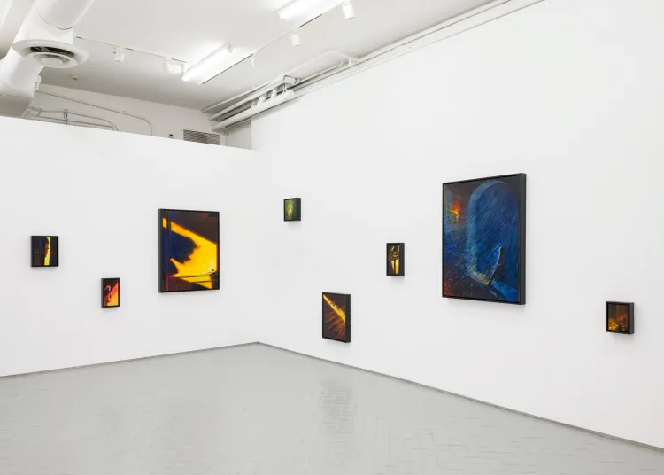 Installation view, House Guest, Nazarian / Curcio · 2026 (6)