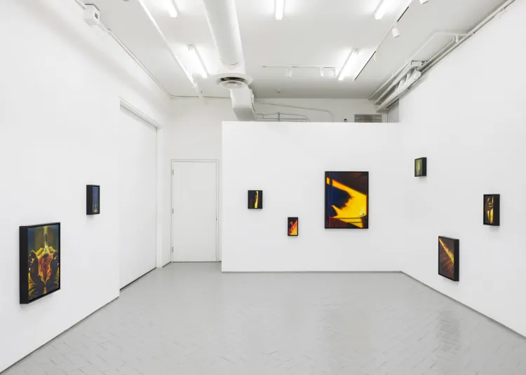 Installation view, House Guest, Nazarian / Curcio · 2026 (3)