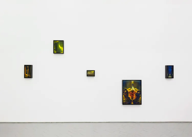 Installation view, House Guest, Nazarian / Curcio · 2026 (2)