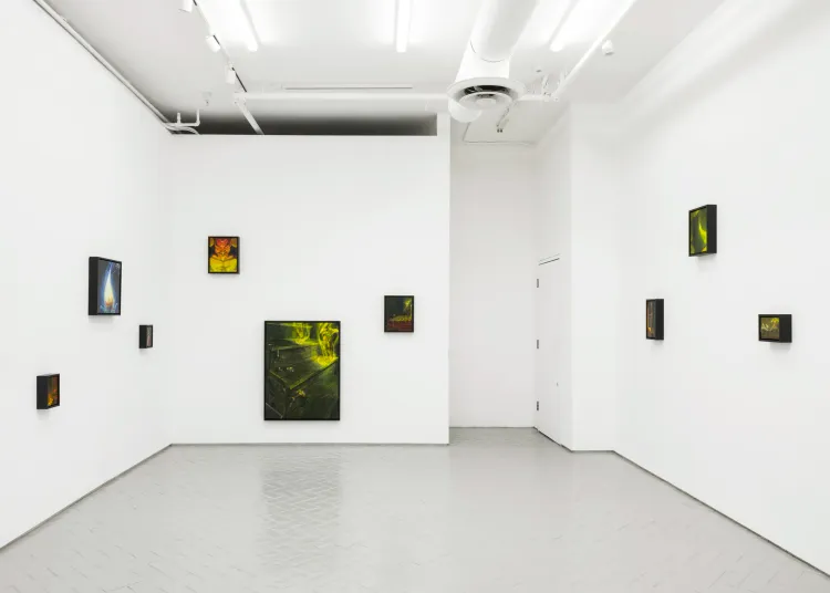 Installation view, House Guest, Nazarian / Curcio