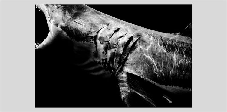 Installation view, Within One Breath, Leica Gallery